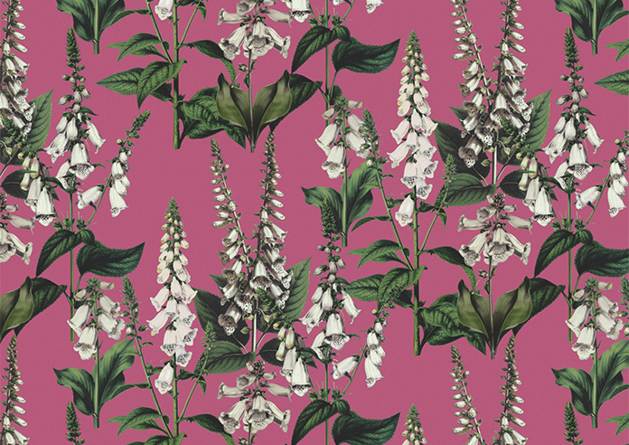 Foxcote, Cosmos - Twist&Fit Roller Blind - Image 6